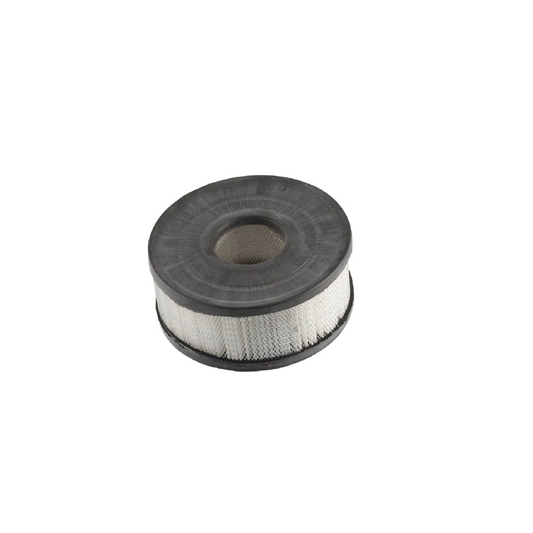 43631-009 Air Filter for Model 440 &amp; 432 DV SYSTEMS