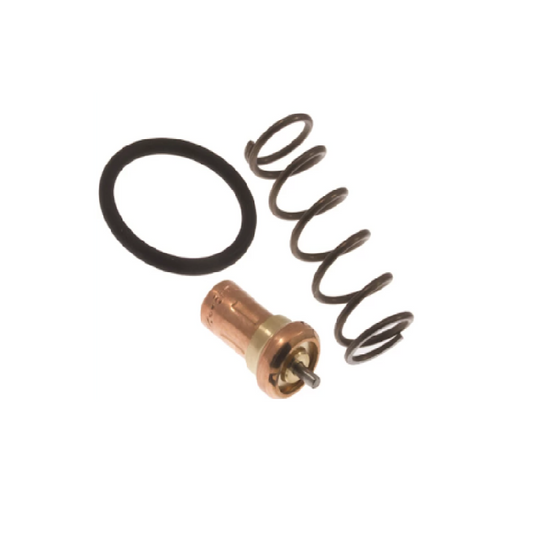 DSC-111-1 Thermo Valve Kit C-G-H-SC Series DV SYSTEMS