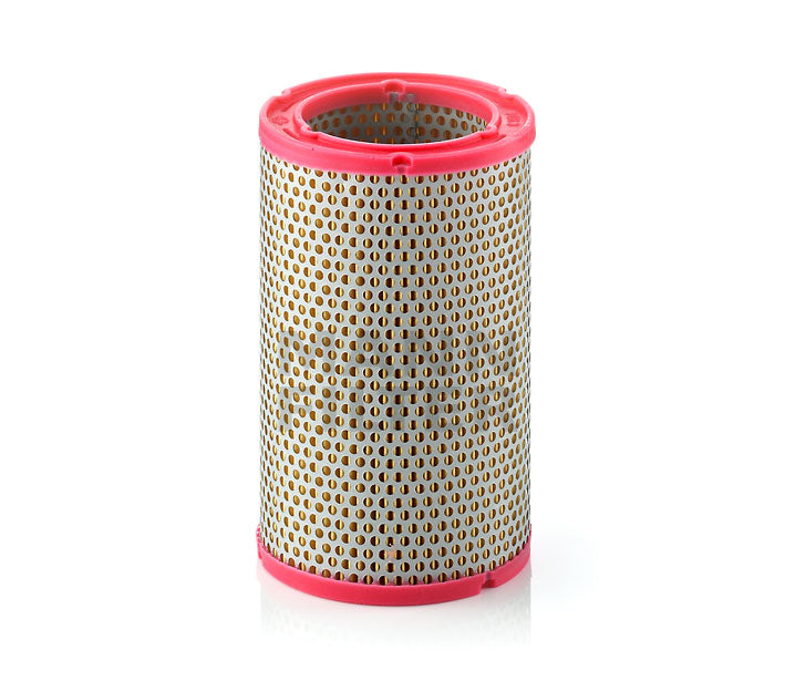 C1134 Air Filter Element